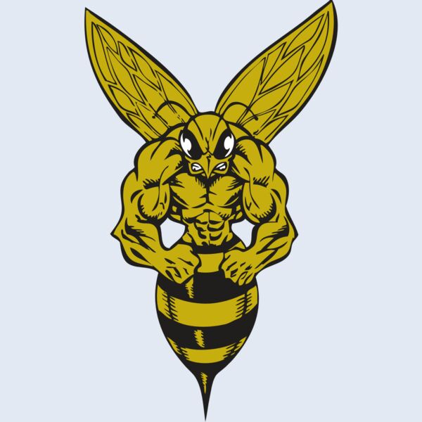 BAW BEE 06 RC Thumbnail