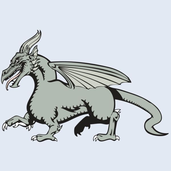 BAW DRAGON 20 RC Thumbnail