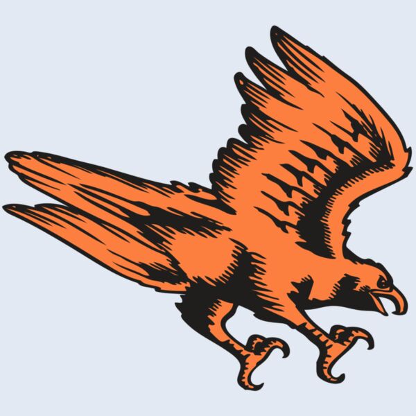 BAW HWK FLCN 04 RC Thumbnail