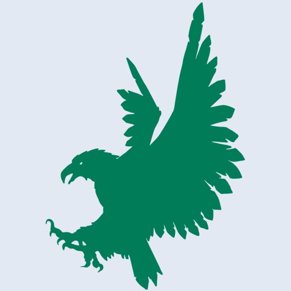 AR EAGLE 88 RC Thumbnail