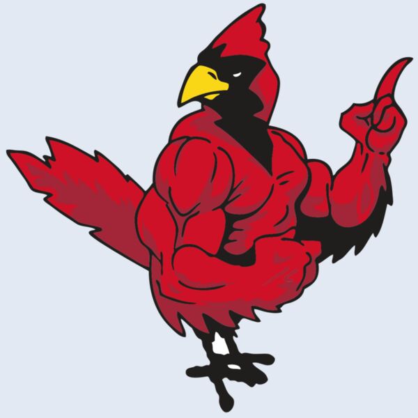 AR CARDINAL 27 RC Thumbnail