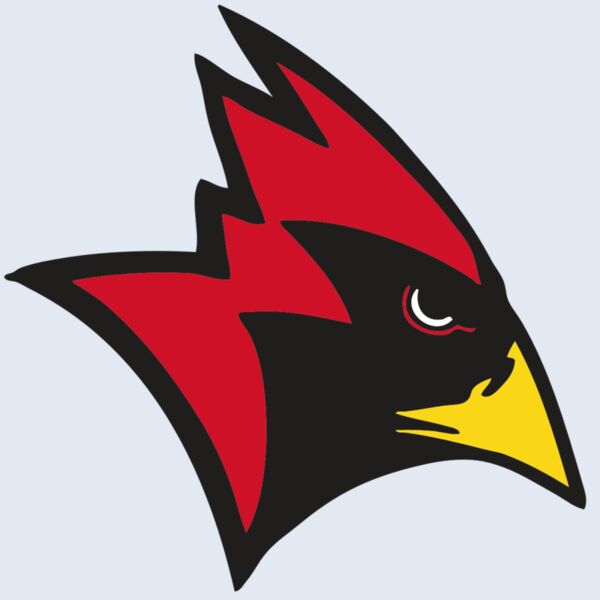 AR CARDINAL 23 RC Thumbnail