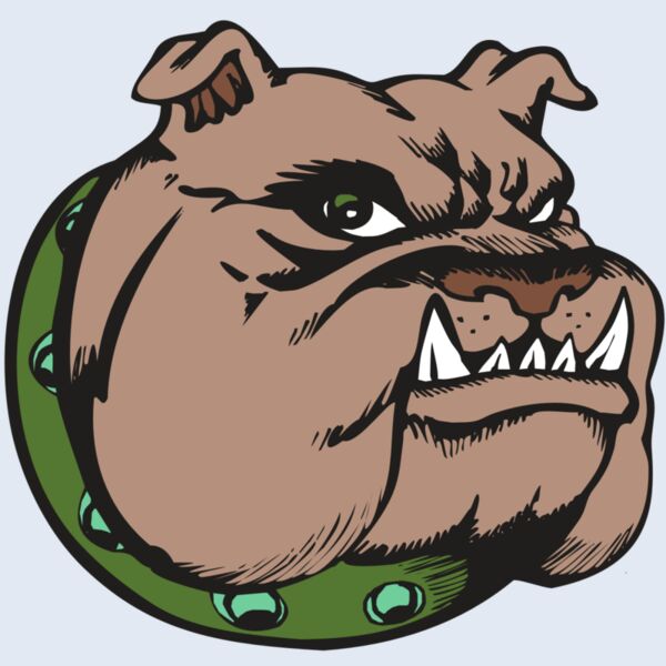 BAW BULLDOG 14 RC Thumbnail