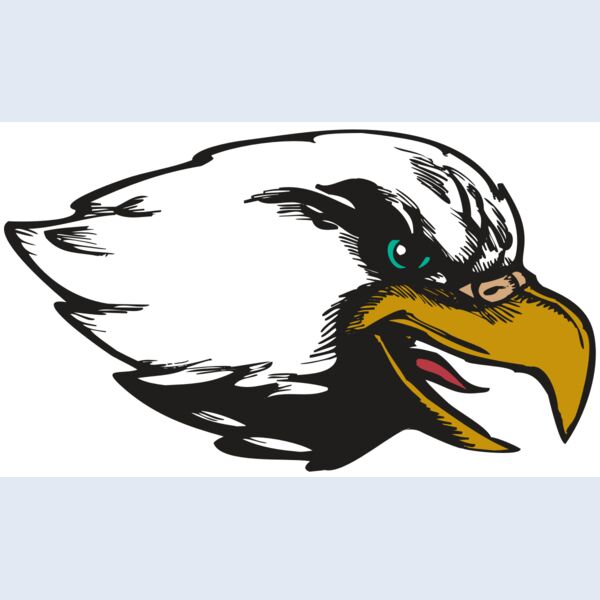 BAW EAG 09 RC Thumbnail