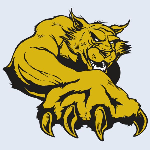 AR WILDCAT 26 RC Thumbnail