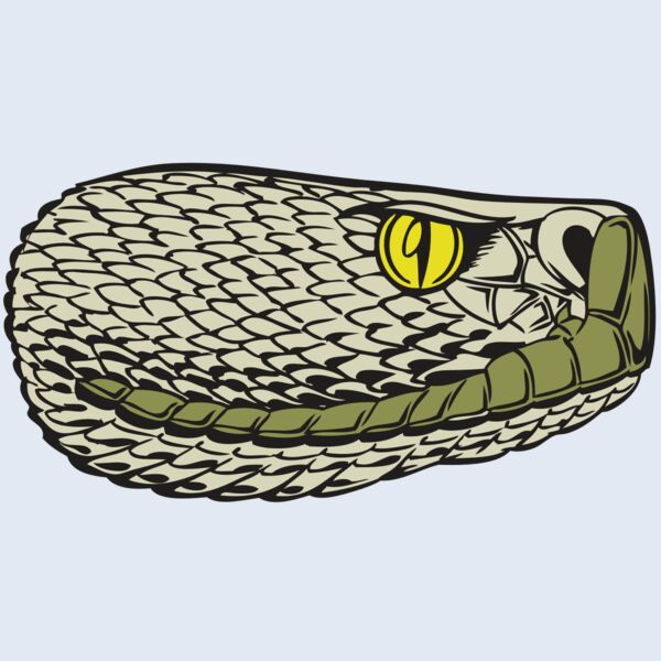 BAW SNAKE 03 RC Thumbnail