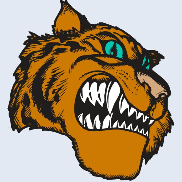 BAW TIGER 11 RC Thumbnail