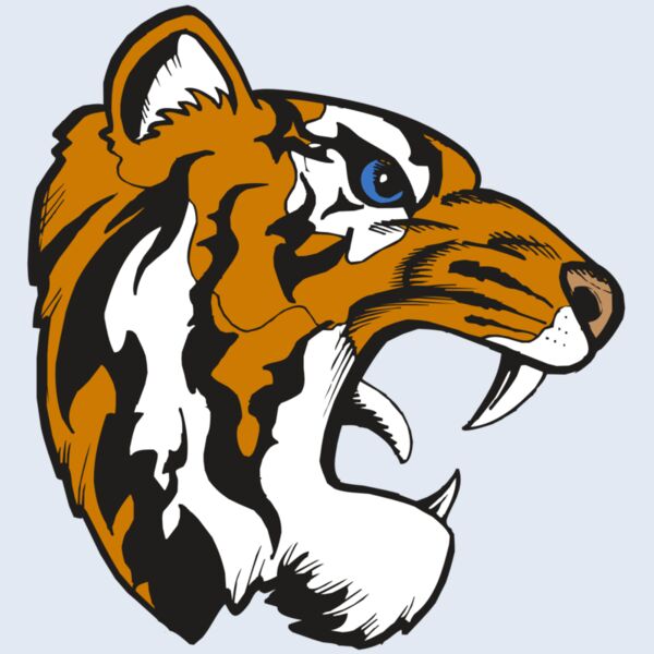 BAW TIGER 08 RC Thumbnail