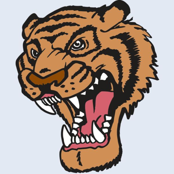 AR TIGER 12 RC Thumbnail