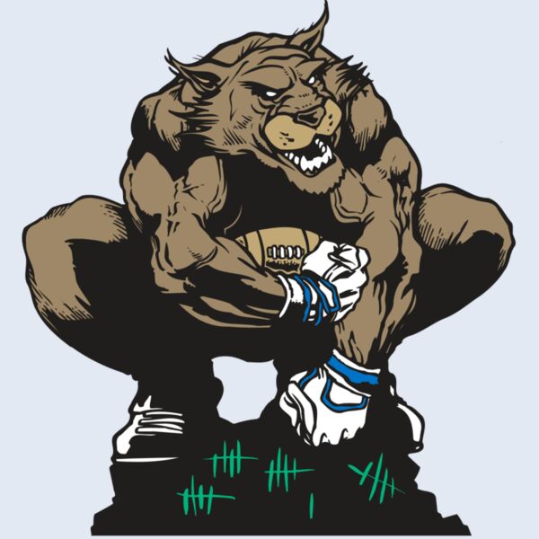 AR WILDCAT 34 RC Thumbnail