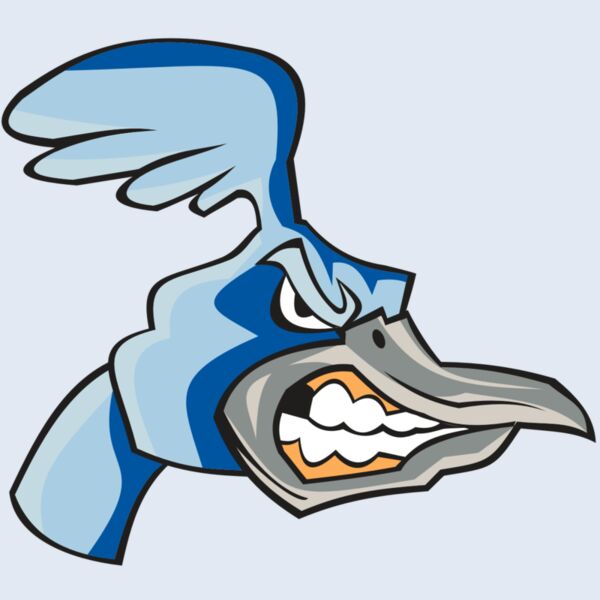 ROADRUNNER HD0503 RQC Thumbnail