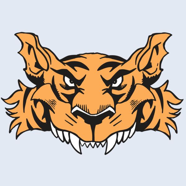 AR5 Tiger 07 RQC Thumbnail