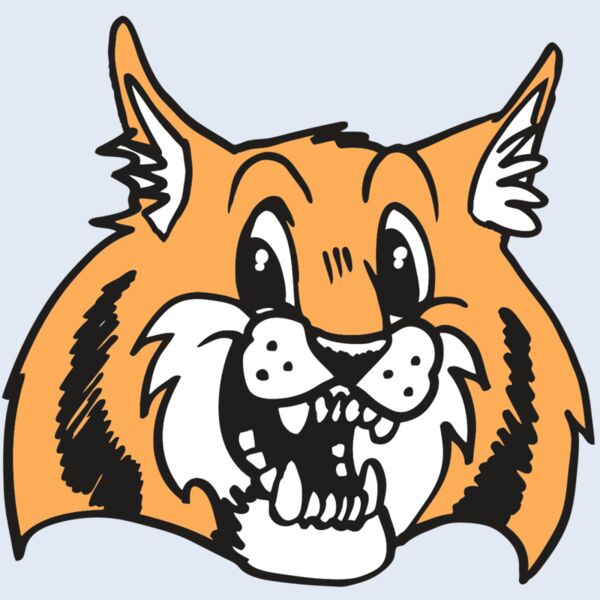 AR WILDCAT 13 RC Thumbnail