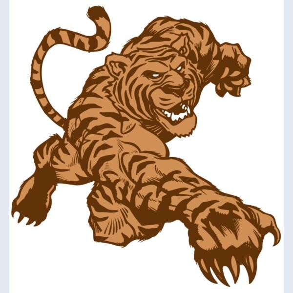 AR TIGER 56 RC Thumbnail