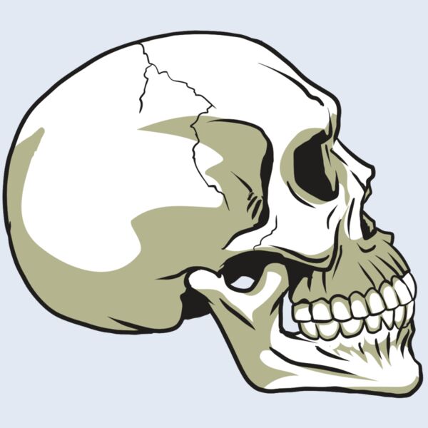 AR24 SKULL 12 RQC Thumbnail