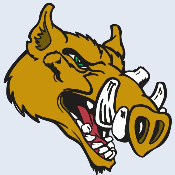 AR RAZORBACK 17 RC Thumbnail