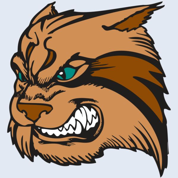 BAW WILDCAT 05 RC Thumbnail