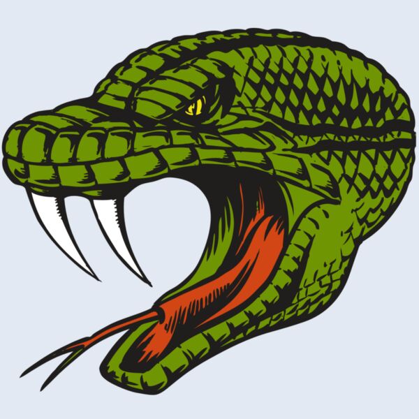 BAW SNAKE 14 RC Thumbnail