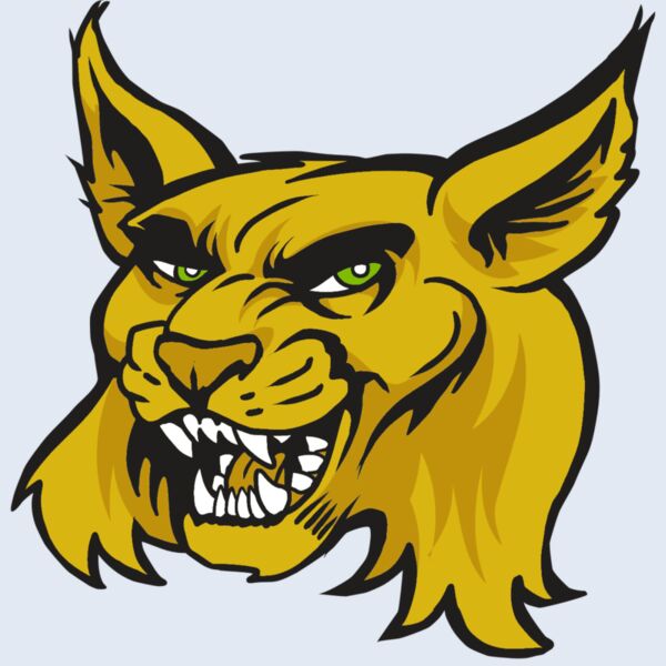 AR30 WILDCAT 03 RQC Thumbnail