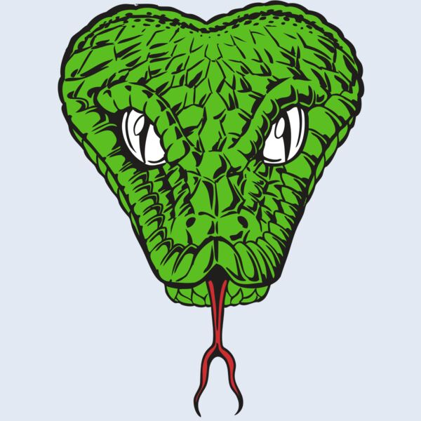 BAW SNAKE 08 RC Thumbnail