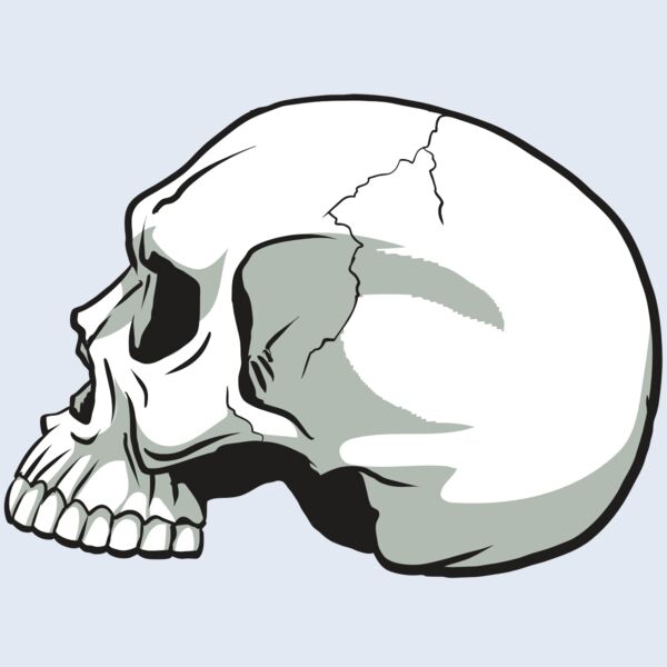 AR24 SKULL 11 RQC Thumbnail