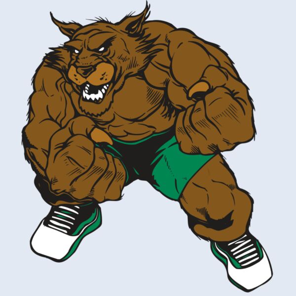 AR WILDCAT 45 RC Thumbnail