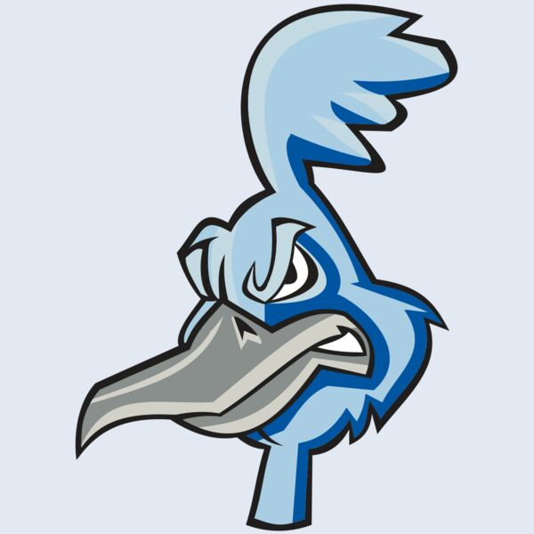 ROADRUNNER HD0501 RQC Thumbnail