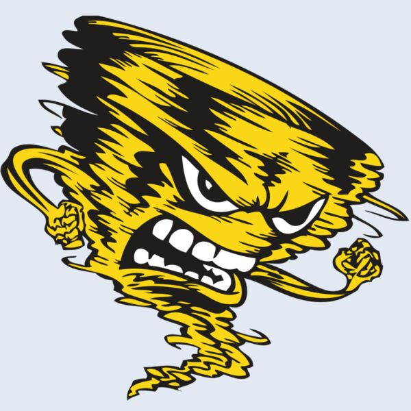 BAW STORM 08 RC Thumbnail