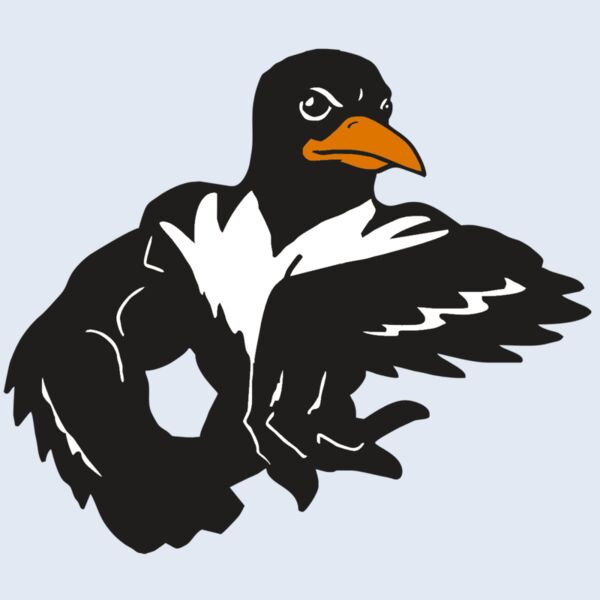 AR ORIOLE 22 RC Thumbnail