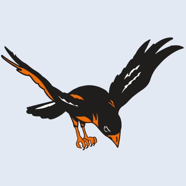 AR ORIOLE 16 RC Thumbnail