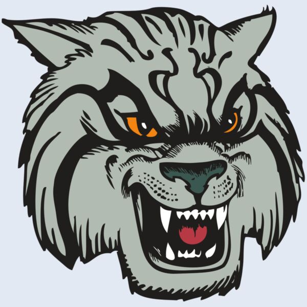 BAW WILDCAT 03 RC Thumbnail