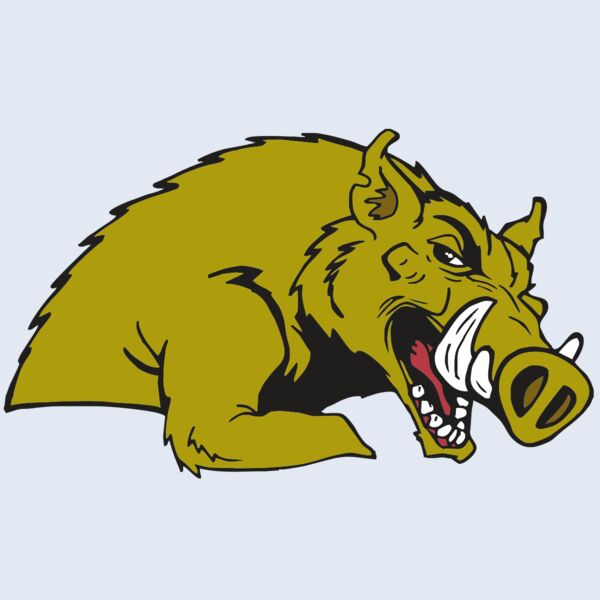 AR RAZORBACK 23 RC Thumbnail