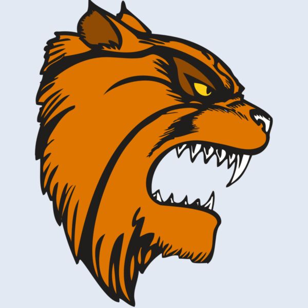 BAW WILDCAT 08 RC Thumbnail