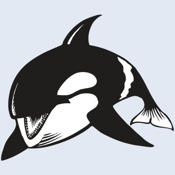 BAW KLRWHALE 04 RC Thumbnail