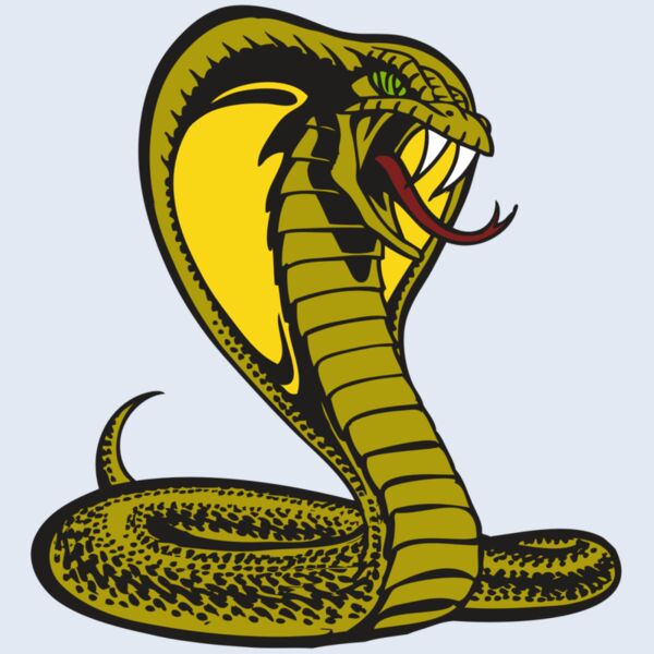 BAW SNAKE 02 RC Thumbnail