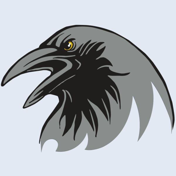 AR31 RAVEN 02 RQC Thumbnail