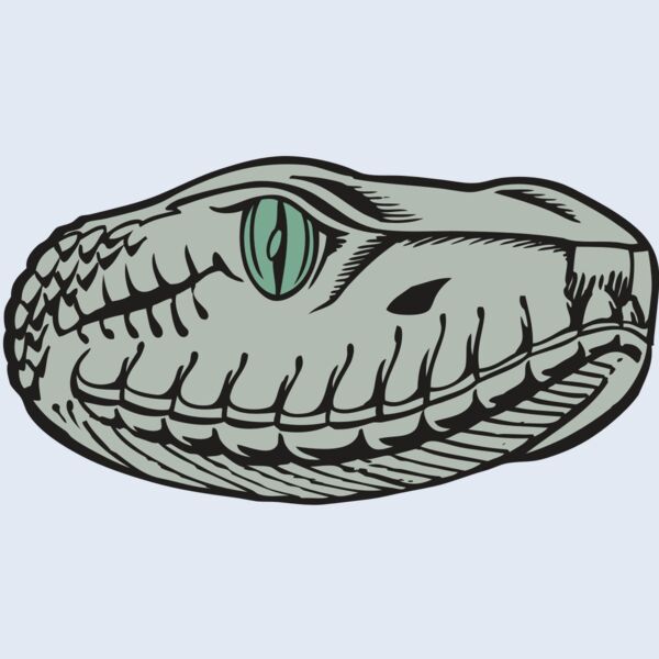 BAW SNAKE 10 RC Thumbnail