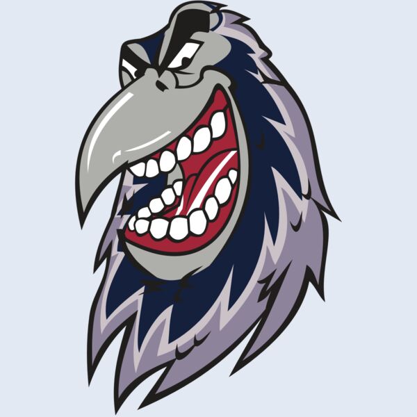 RAVEN HD0503 RQC Thumbnail