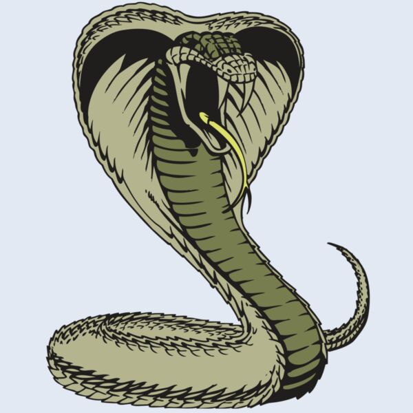 BAW SNAKE 07 RC Thumbnail