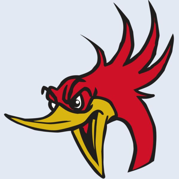 AR31 ROADRUNNER 02 RQC Thumbnail