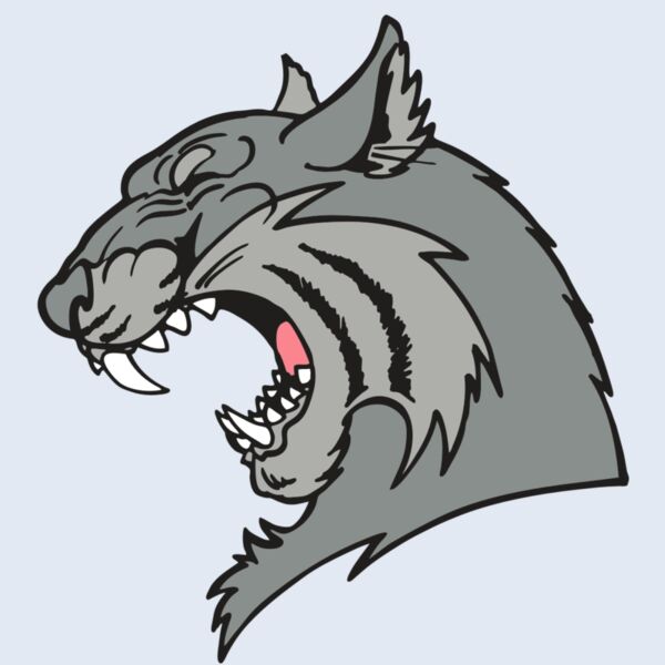 AR WILDCAT 41 RC Thumbnail