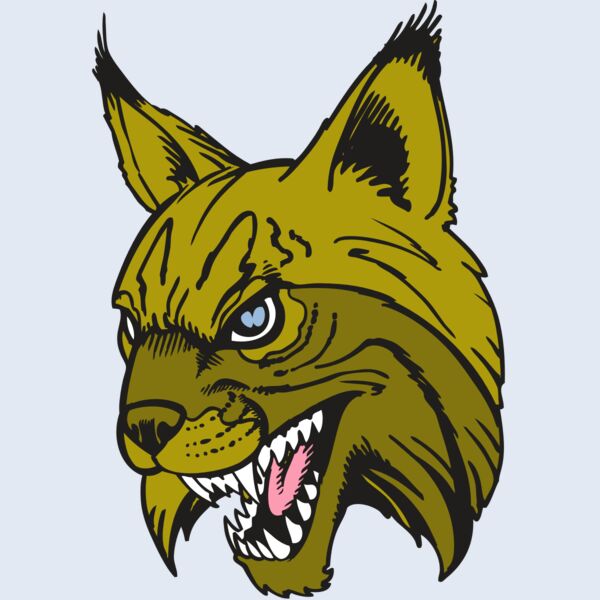 BAW BOBCAT 05 RC Thumbnail