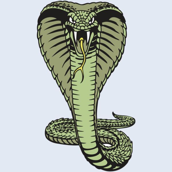 BAW SNAKE 15 RC Thumbnail