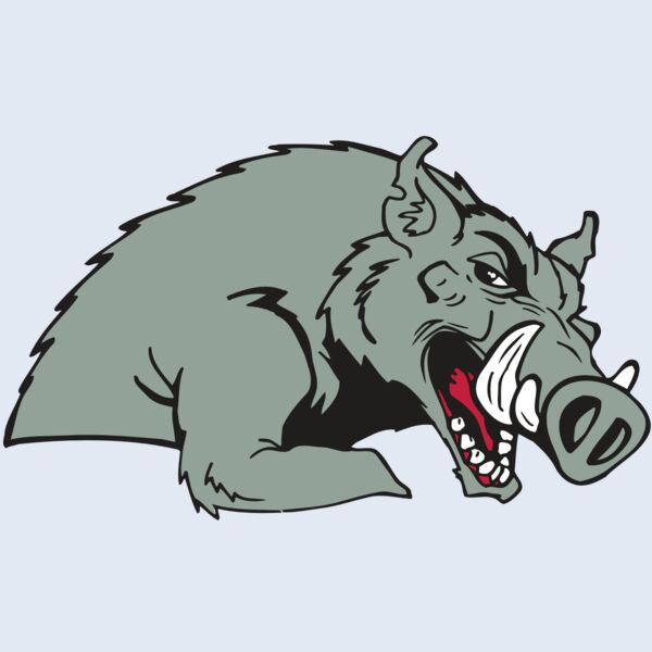 AR RAZORBACK 14 RC Thumbnail