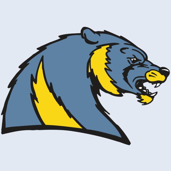 AR5 Wolverine 20 RQC Thumbnail