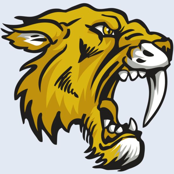 AR30 SABER 03 RQC Thumbnail