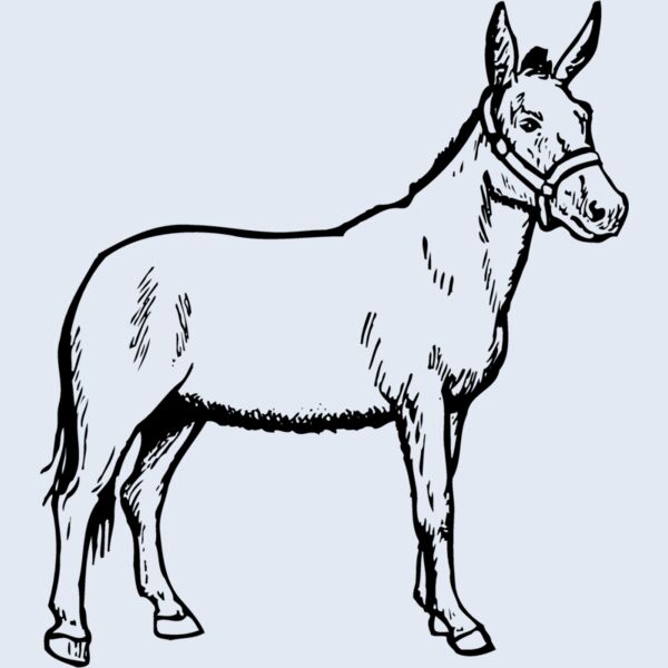 BURRO002 Thumbnail