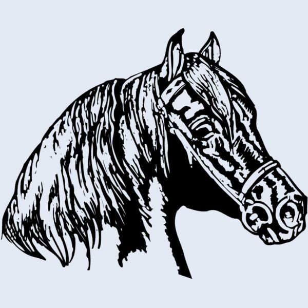 HORSE002 Thumbnail