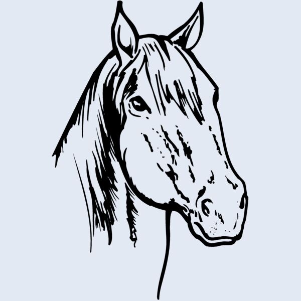 HORSE011 Thumbnail