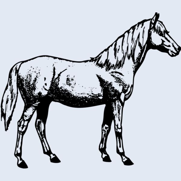 HORSE013 Thumbnail